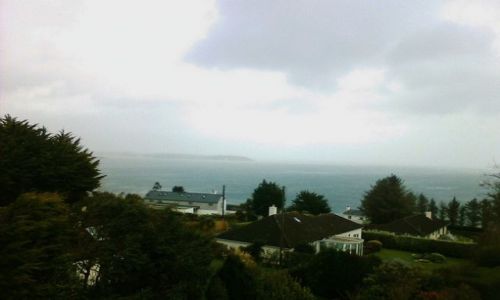 Zdjęcie ANGLIA / Cornwall / Mawnan Smith / Widok z okna