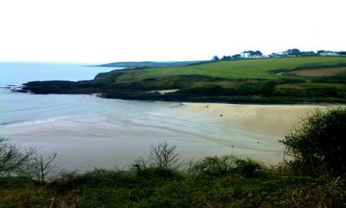 Zdjęcie ANGLIA / Cornwall / Maenporth / Maenporth Beach
