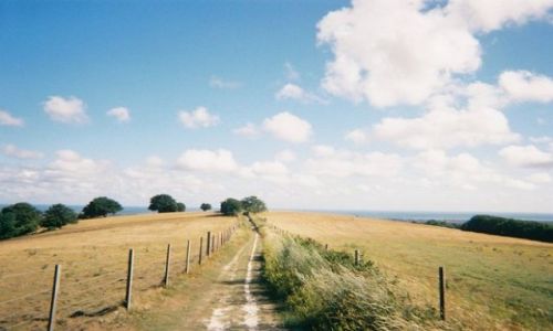 Zdjcie ANGLIA / Cornwall / Downderry / idziemy na pla ;)