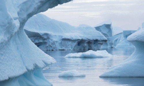 Zdjcie ANTARKTYDA / Arctic Peninsula / Cmentarzysko gr lodowych / TWORY LODOWE