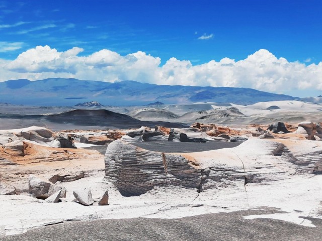 Zdj cia: Carachi Pampa, La Puna, Białe Piedra Pomez, ARGENTYNA Zdj cia: Carachi Pampa, La Puna, Białe Piedra Pomez, ARGENTYNA