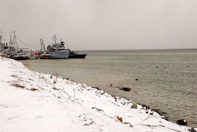 Zdjęcia: Ushuaia, Tierra del Fuego , postoj przybrzezny , ARGENTYNA Zdjęcia: Ushuaia, Tierra del Fuego , postoj przybrzezny , ARGENTYNA