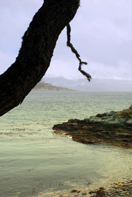 Zdjęcia: Ushuaia, Tierra del Fuego , vidok, ARGENTYNA Zdjęcia: Ushuaia, Tierra del Fuego , vidok, ARGENTYNA