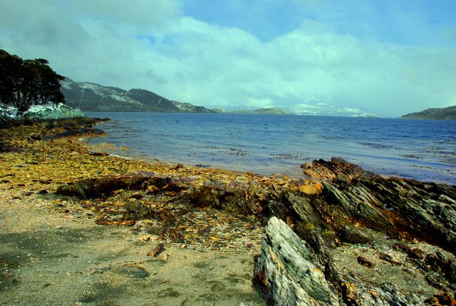 Zdjęcia: Ushuaia, Tierra del Fuego , sniezylo, ARGENTYNA Zdjęcia: Ushuaia, Tierra del Fuego , sniezylo, ARGENTYNA