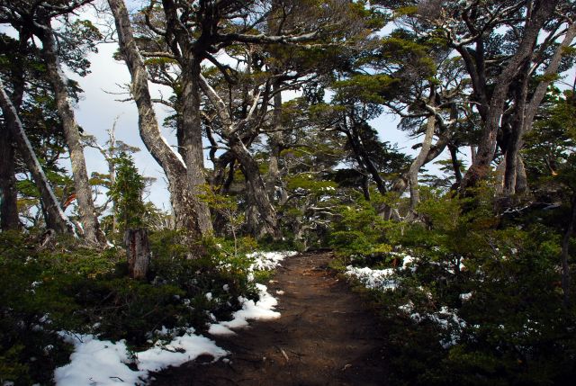 Zdjęcia: Ushuaia, Tierra del Fuego , nibypuszcza, ARGENTYNA Zdjęcia: Ushuaia, Tierra del Fuego , nibypuszcza, ARGENTYNA