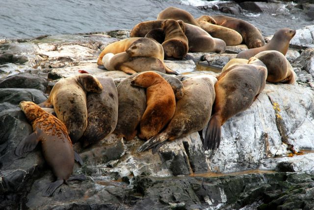 Zdjęcia: Ushuaia, Tierra del Fuego , ciepelko rodzinne, ARGENTYNA Zdjęcia: Ushuaia, Tierra del Fuego , ciepelko rodzinne, ARGENTYNA