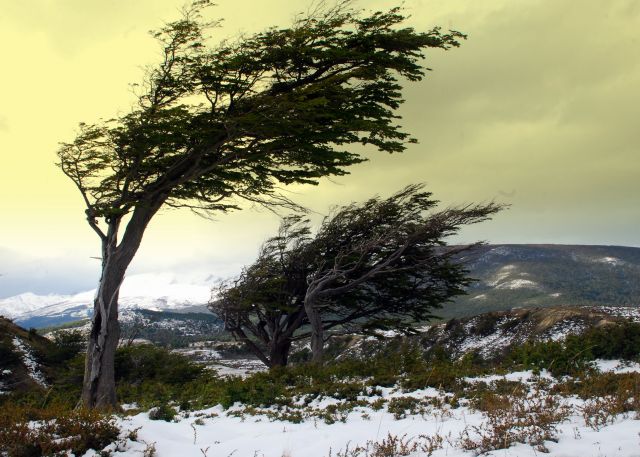 Zdjęcia: Ushuaia, Tierra del Fuego , windy, ARGENTYNA Zdjęcia: Ushuaia, Tierra del Fuego , windy, ARGENTYNA