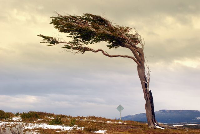 Zdjęcia: Ushuaia, Tierra del Fuego , samotny znak czasu, ARGENTYNA Zdjęcia: Ushuaia, Tierra del Fuego , samotny znak czasu, ARGENTYNA
