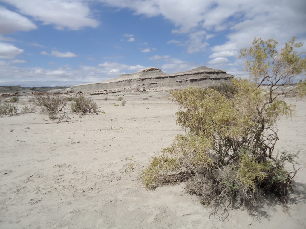 Zdjęcia: Park Narodowy Ischigualasto, San Juan, Park Narodowy Ischigualasto (2), ARGENTYNA Zdjęcia: Park Narodowy Ischigualasto, San Juan, Park Narodowy Ischigualasto (2), ARGENTYNA