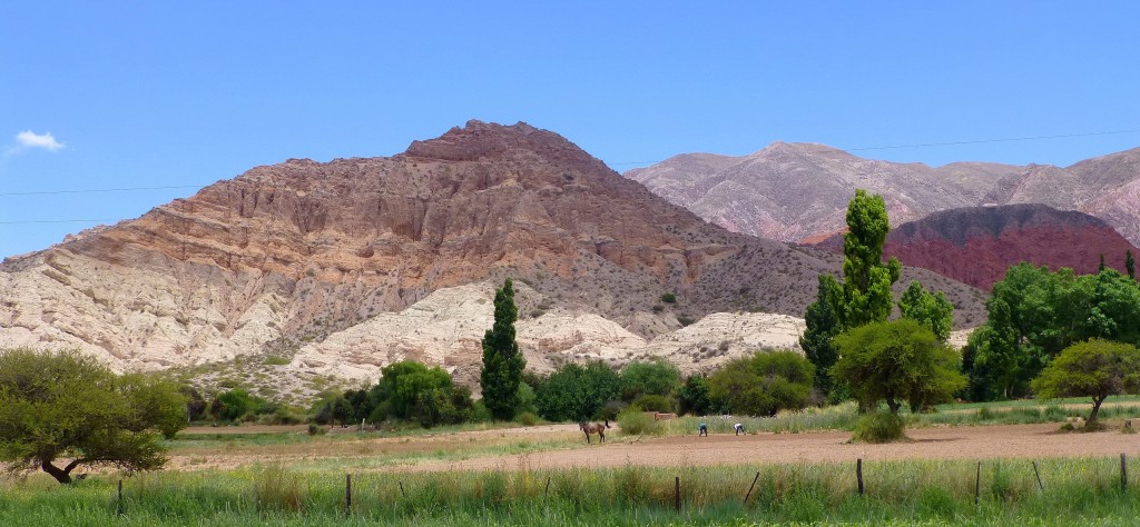 Zdjęcia: w drodze do Quebrada de Humahuaca, Jujuj, widziane po drodze, ARGENTYNA Zdjęcia: w drodze do Quebrada de Humahuaca, Jujuj, widziane po drodze, ARGENTYNA
