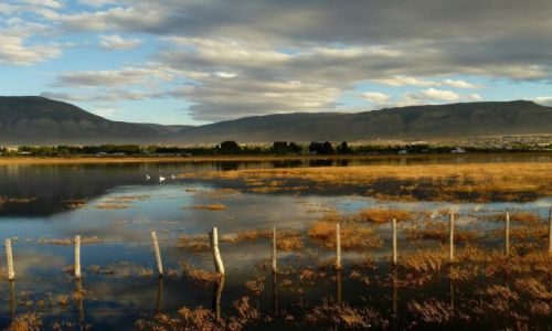 Zdjcie ARGENTYNA / Patagonia / El Calafate / Laguna Nimes