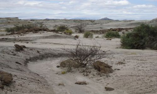 Zdjecie ARGENTYNA / San Juan / Park Narodowy Ischigualasto / Krajobraz doliny