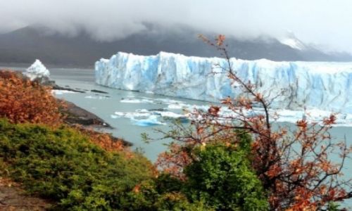 Zdjcie ARGENTYNA / Patagonia / El Calafate / Lodowiec Perito Moreno