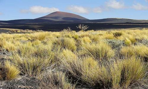 Zdjecie ARGENTYNA / Mendoza / Reserva Payunia / Wulkany Payuni