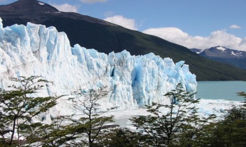 Zdjecie ARGENTYNA / Patagonia / Los Glaciares / Glaciar Moreno