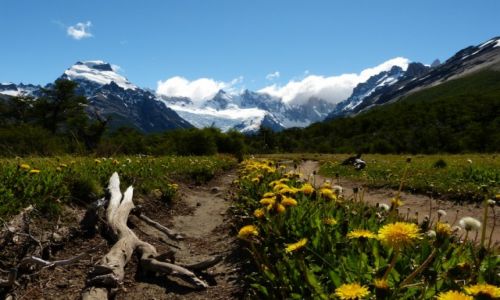 Zdjecie ARGENTYNA / Patagonia / Cerro Torre  / KONKURS