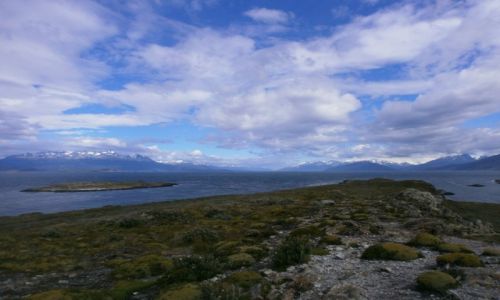 Zdjecie ARGENTYNA / Tierra del Fuego / Beagle Channel / Tierra Del Fuego