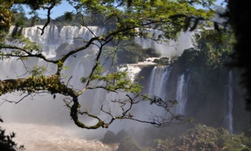 Zdjecie ARGENTYNA / Puerta de Iguazu / Iguazu / Argentynskie Iguazu