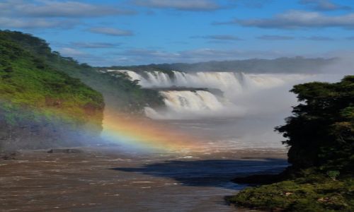 Zdjecie ARGENTYNA / Iguazu / Puerto Iguazu / Tcza