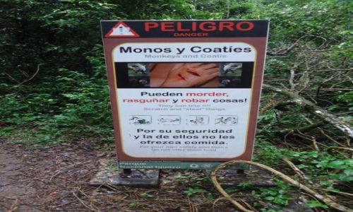 Zdjcie ARGENTYNA / Misiones / Puerto Iguazu / Ostrzeenie
