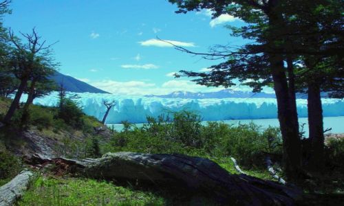 Zdjcie ARGENTYNA / Patagonia / Perito Moreno / Magia  krajobrazu