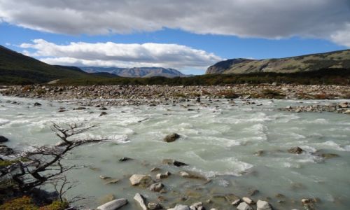 Zdjęcie ARGENTYNA / Santa Cruz (Patagonia) / PN Los Glaciares (cz. północna) / Patagoński krajobraz