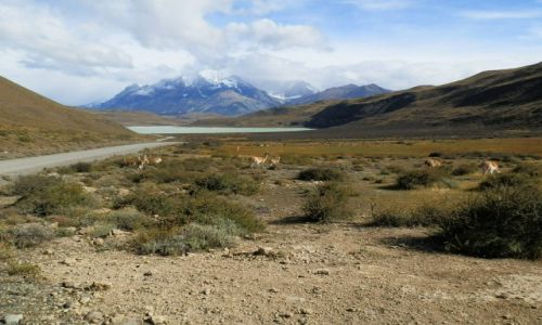 Zdjecie ARGENTYNA / Ptaragonia / Patagonia / Bezkres pikna i spokoju