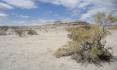 Zdjcie ARGENTYNA / San Juan / Park Narodowy Ischigualasto / Park Narodowy Ischigualasto (2)