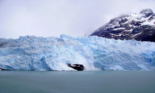 Zdjcie ARGENTYNA / Patagonia / Lago Argentino / 
