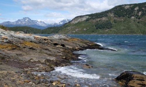 Zdjcie ARGENTYNA / Tierra del Fuego / Senda Costera - Parque National / Senda Costera - Tierra del Fuego