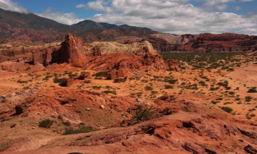 Zdjcie ARGENTYNA / ARGENTYNA / QUEBRADA de CAFAYATE / ARGENTYNA