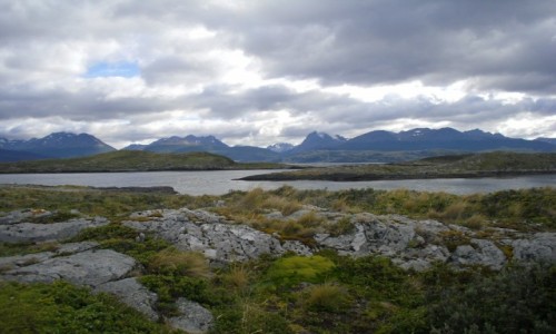 Zdjecie ARGENTYNA / Tierra del Fuego / Ushuaia / nad zatok Beagle