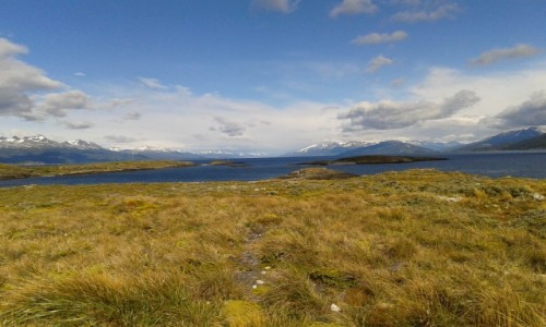 Zdjecie ARGENTYNA / Ziemia Ognista /Ushuaia / Kana Beagle / Wyspy Bridges