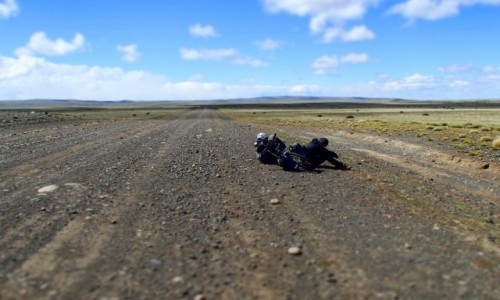 Zdjecie ARGENTYNA / Pampa / Pampa / Walka ze sabociami