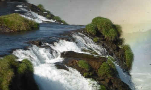 Zdjecie ARGENTYNA / Misiones / Iguazu / Iguazu