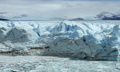 Zdjcie ARGENTYNA / Patagonia / NP Los Glaciares / Niebieskoci 