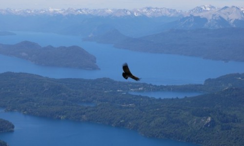 Zdjecie ARGENTYNA / Patagonia / Bariloche / Krl andyjskich przestworzy