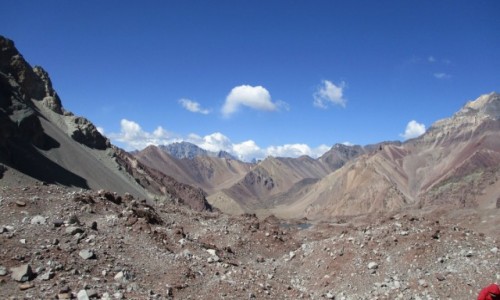 Zdjęcie ARGENTYNA / - / Plaza Francia / Andy