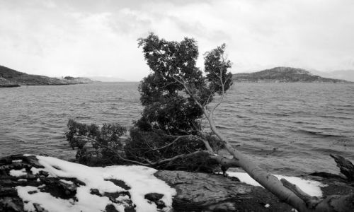 ARGENTYNA / Tierra del Fuego  / Ushuaia / wind after