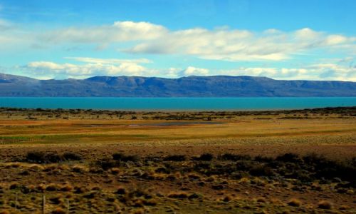 Zdjcie ARGENTYNA / Patagonia  / El Calafate / zielone jezioro
