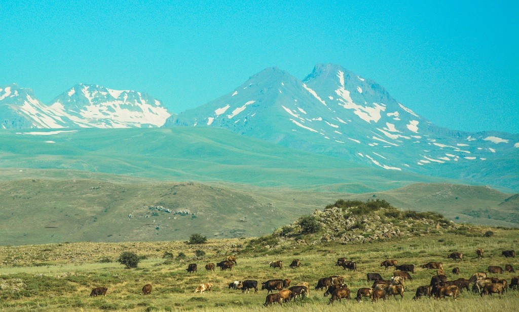 Zdjęcia: okolice Jeziora Sewan, Armeńskie widoki , ARMENIA Zdjęcia: okolice Jeziora Sewan, Armeńskie widoki , ARMENIA