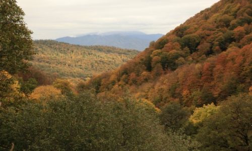 Zdjcie ARMENIA / Tawush - Dilian / Hagarcin / Jesie w Hagarcin