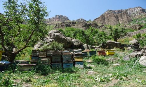 Zdjcie ARMENIA / Kotajk / Gegard / Ule