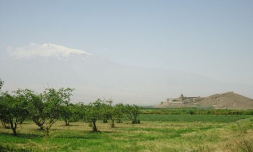 Zdjecie ARMENIA / Ararat / Chor Wirap (Khor Virap) / Z Araratem w tle