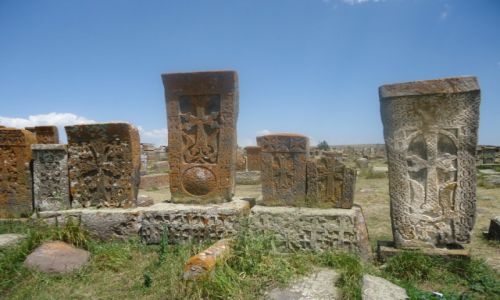 Zdjecie ARMENIA / Gegharkunik / Noratus / Najwiksze pole chaczkarw