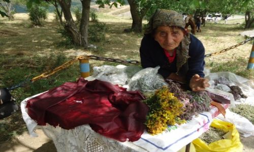 Zdjecie ARMENIA / Sjunik / Tatev / To s naprawd dobre zioa ....