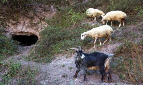 Zdjecie ARMENIA / Sjunik  / Stare Goris / Na stray