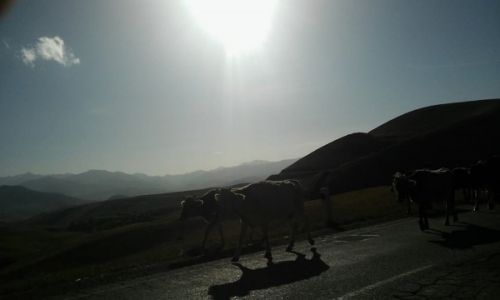 Zdjecie ARMENIA / Armenia / Kapan / w drodze