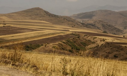 Zdjcie ARMENIA / rodkowa Armenia / ok. j. Sevan / Polne wstki....