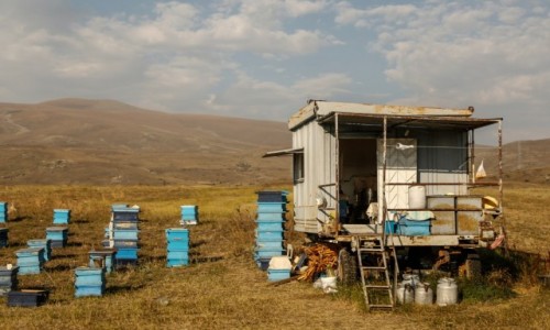 Zdjęcie ARMENIA / płd Armenia / ok. Jermuk / Przydrożna pasieka